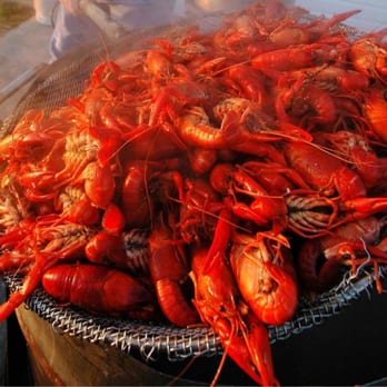 Salty Dog - New American Near Me - Waco, Texas Salty Dog - New American Near Me - Waco, Texas