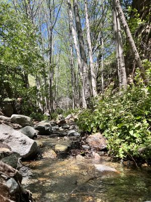 North Etiwanda Preserve by null