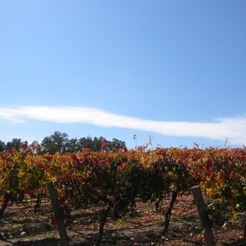 Opolo Vineyards - Wineries Near Me - Paso Robles, California Opolo Vineyards - Wineries Near Me - Paso Robles, California