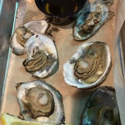 Steamed Oysters Steamed Oysters