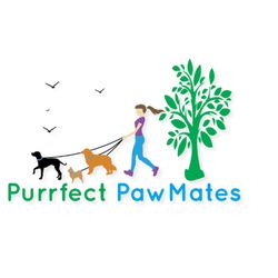 Purrfect PawMates