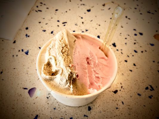 Frost Gelato by null