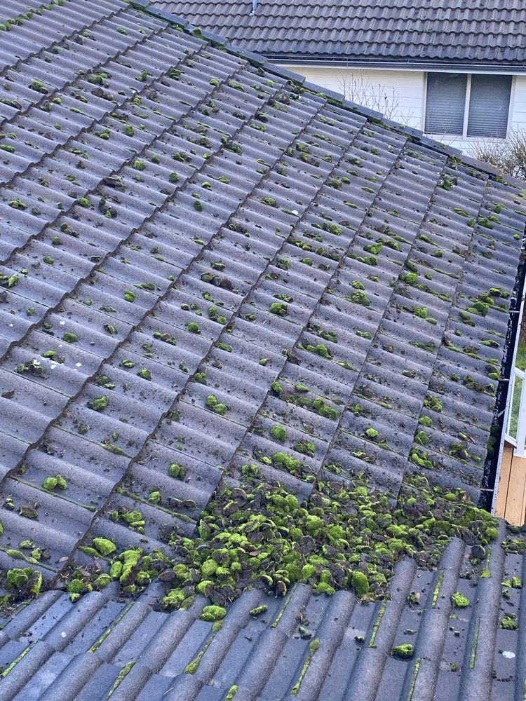 Santos Landscaping NW - tree service in Bremerton, WA