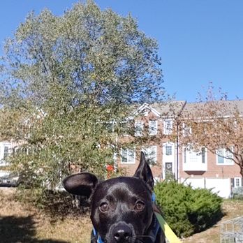 Extra Help - Home Cleaning Near Me