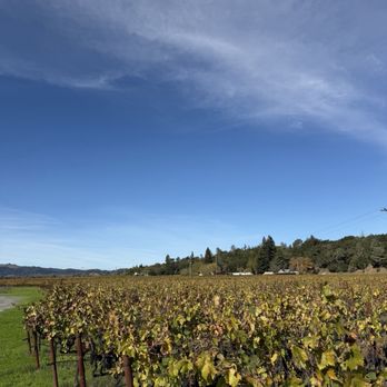 Aesthete Winery & Farm - Winery vineyard by parking lot - Wine Tasting Room Near Me - Healdsburg, California Aesthete Winery & Farm - Winery vineyard by parking lot - Wine Tasting Room Near Me - Healdsburg, California