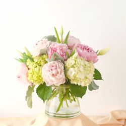 Bartz Viviano Flowers & Gifts
