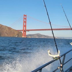 Sea Wolf Sportfishing - Awesome view from the boat.