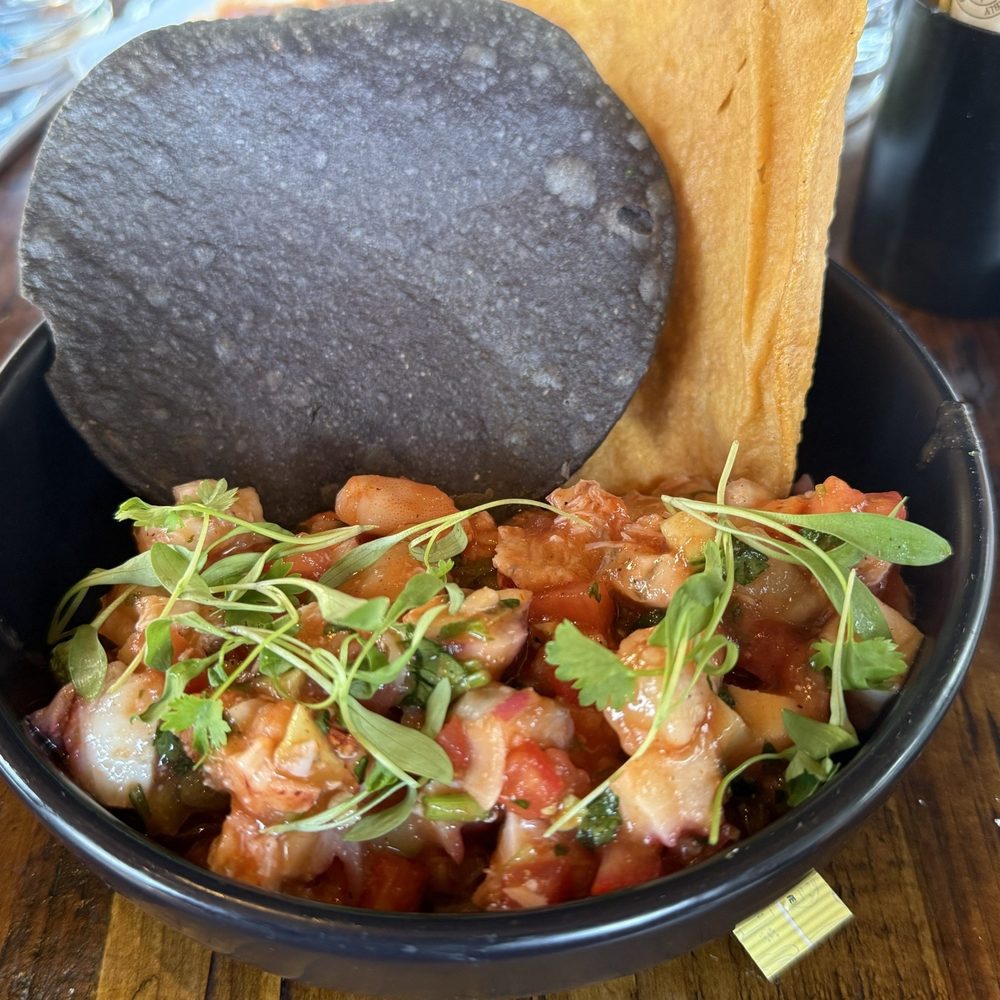 Ash and Agave - Lobster ceviche with Octopus - Mexican Near Me - Denver, Colorado