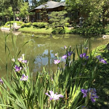 Japanese Garden - Botanical Gardens Near Me - Houston, Texas