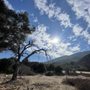 Photo of Wilderness Gardens Preserve