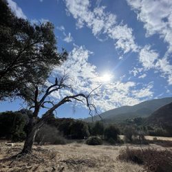 Wilderness Gardens Preserve - Recent photo (from 2nd visit).