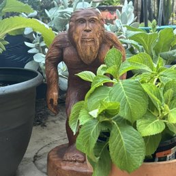 Sasquatch Sasquatch
