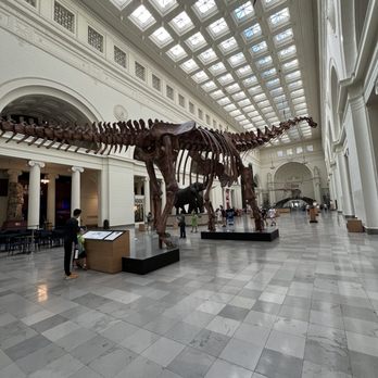 Field Museum - Museums Near Me - Chicago, Illinois