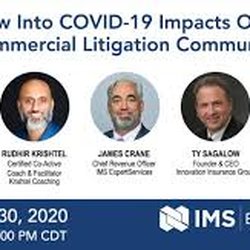The National Law Review - National Law Review Panel Interview COVID Impact on Litigation with IMS Expert Services