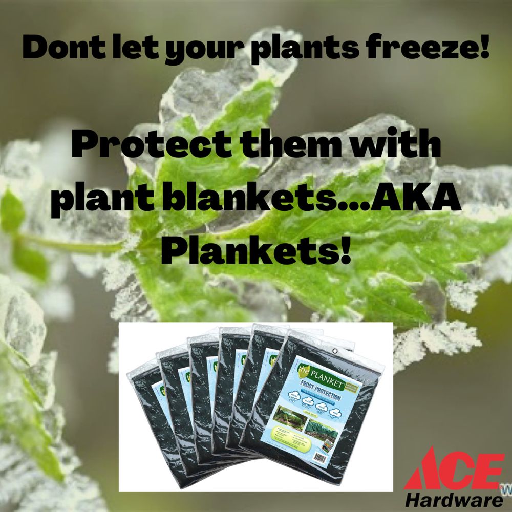 PINNACLE PEAK ACE HARDWARE Updated April 2024 63 Photos & 59