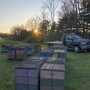 Photo of Harvey's Honey