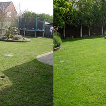 Clean Cut Landscaping - Landscaping Near Me Clean Cut Landscaping - Landscaping Near Me