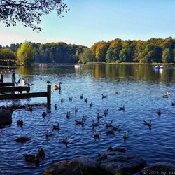 Harburger Stadtpark - Am Außenmühlenteich (11/2017)