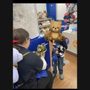 Photo of Build-A-Bear Workshop - Hampton Walmart Supercenter