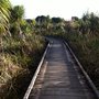 Photo of Pigeon Mountain Wetland