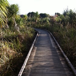 Pigeon Mountain Wetland