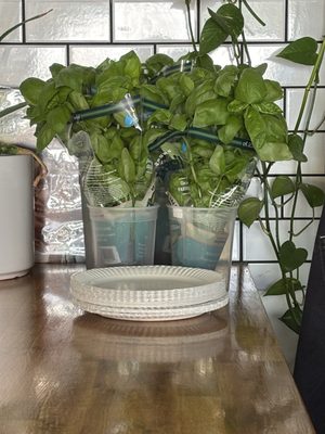 Lo Mo Pizzeria by null