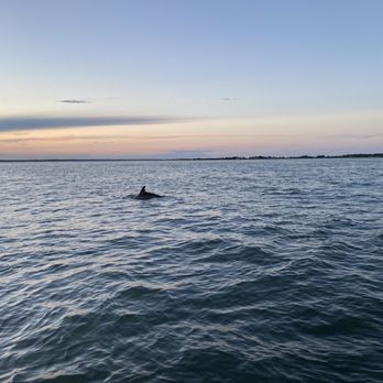 Salt Water Pony Tours - Boat Tours Near Me - Chincoteague, Virginia