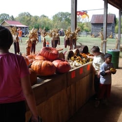 Pumpkin Patch Farm - Lots of gourds, corn and specialty punkins!