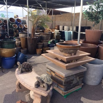 Professional Plants - Nurseries & Gardening Near Me - Phoenix, Arizona