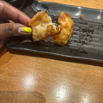 Ramen Hakata - Fried Gyoza 10/10!!! - Ramen Near Me - Lewisville, Texas