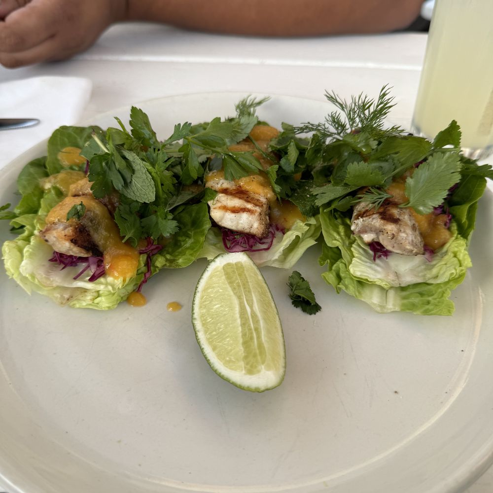 Great White - Fish Tacos - Cafes Near Me - Los Angeles, California Great White - Fish Tacos - Cafes Near Me - Los Angeles, California