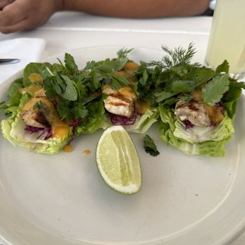 Great White - Fish Tacos - Cafes Near Me - Los Angeles, California Great White - Fish Tacos - Cafes Near Me - Los Angeles, California