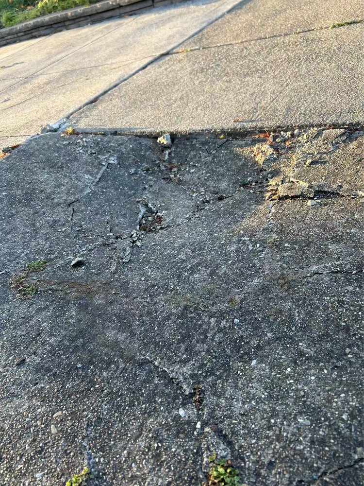 Oscar's Expert Tree Service - tree service in San Jose, CA