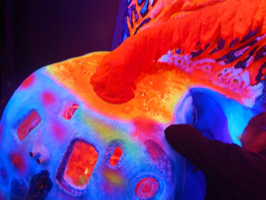 Electric Ladyland - Museum of Fluorescent Art by null