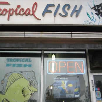 Bob's Tropical Fish - Store Front - Local Fish Stores Near Me - Los Angeles, California