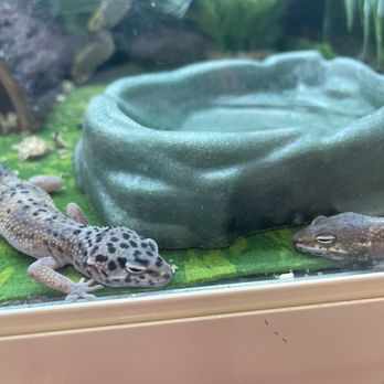 PetSmart - Cage - Pet Training Near Me - Plymouth, Massachusetts