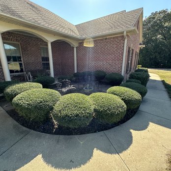 Andy’s Landscaping - Bush trimming - Landscaping Near Me