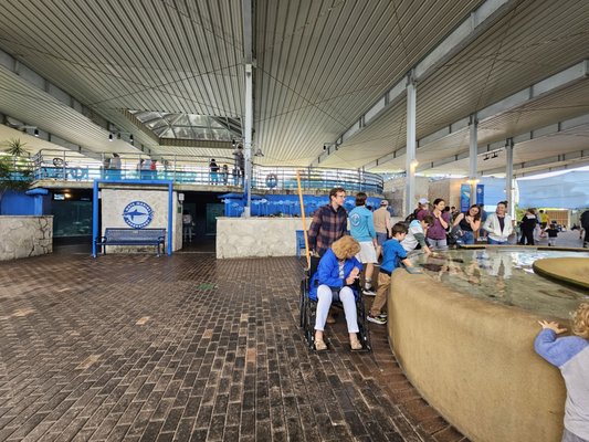Mote Marine Laboratory & Aquarium by null