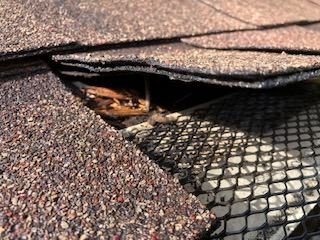 Slide of Christian Brothers Roofing