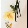 Metamorphosis gift card