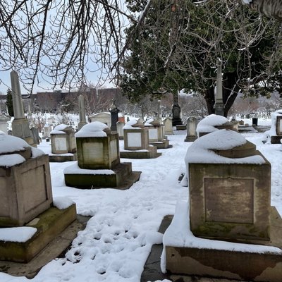 Congressional Cemetery by null