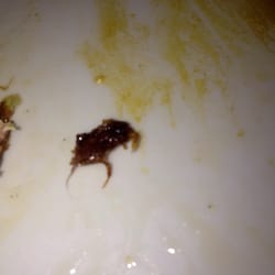 China King - A roach?