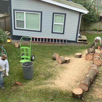 Urban Arborist - Good guys - Tree Services Near Me - Seattle, Washington Urban Arborist - Good guys - Tree Services Near Me - Seattle, Washington