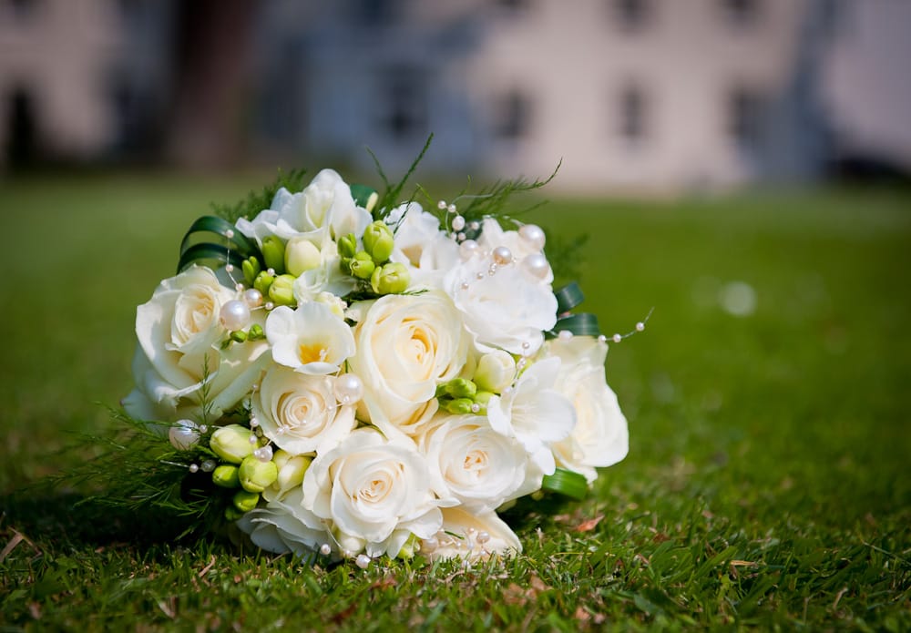 ME NOT FLORISTS 43 Photos Donabate Town Centre, Donabate, Co