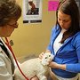 Photo of Kirksville Small Animal Hospital