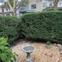 Tru Trimming Landscaping