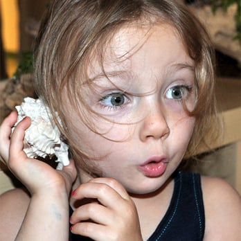 The Osher Marin JCC - Preschools in San Rafael & Tiburon. - Community Service/Non-Profit Near Me - San Rafael, California The Osher Marin JCC - Preschools in San Rafael & Tiburon. - Community Service/Non-Profit Near Me - San Rafael, California