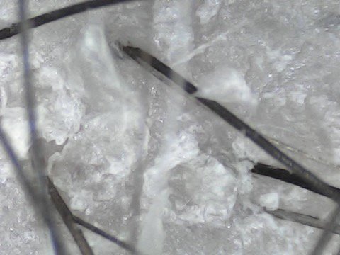 Six Bay Road Salon & Spa Logo