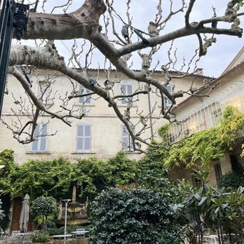 Hôtel d'Europe - Hotels Near Me - Avignon, 84