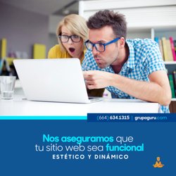 Grupo Guru